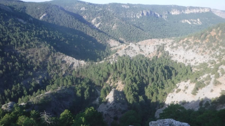 II Tornero 0